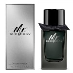 burberry MR BURBERRY 100 ml EDP